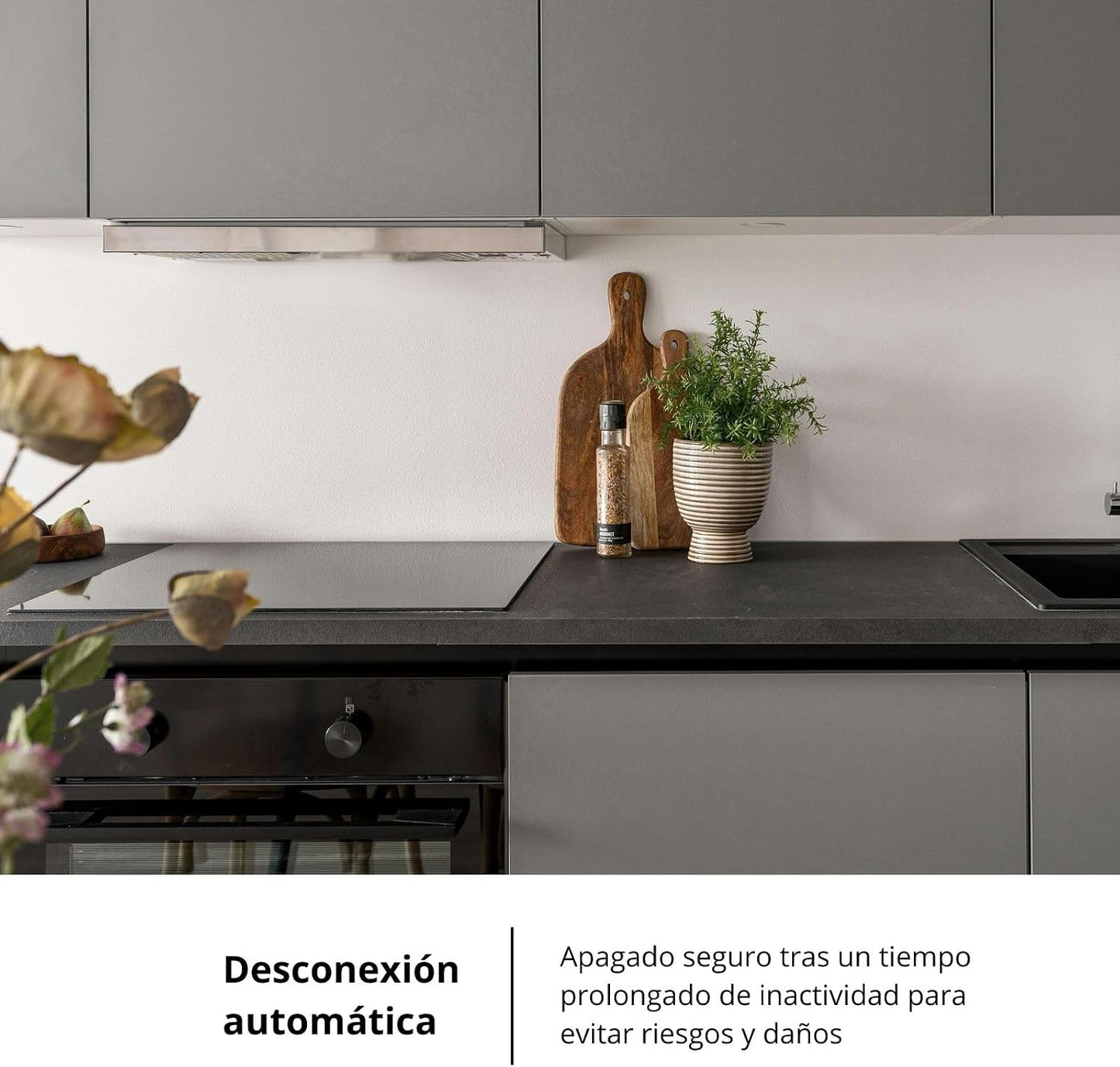 Placa inducción Corberó 3 fuegos (026344) OFERTA