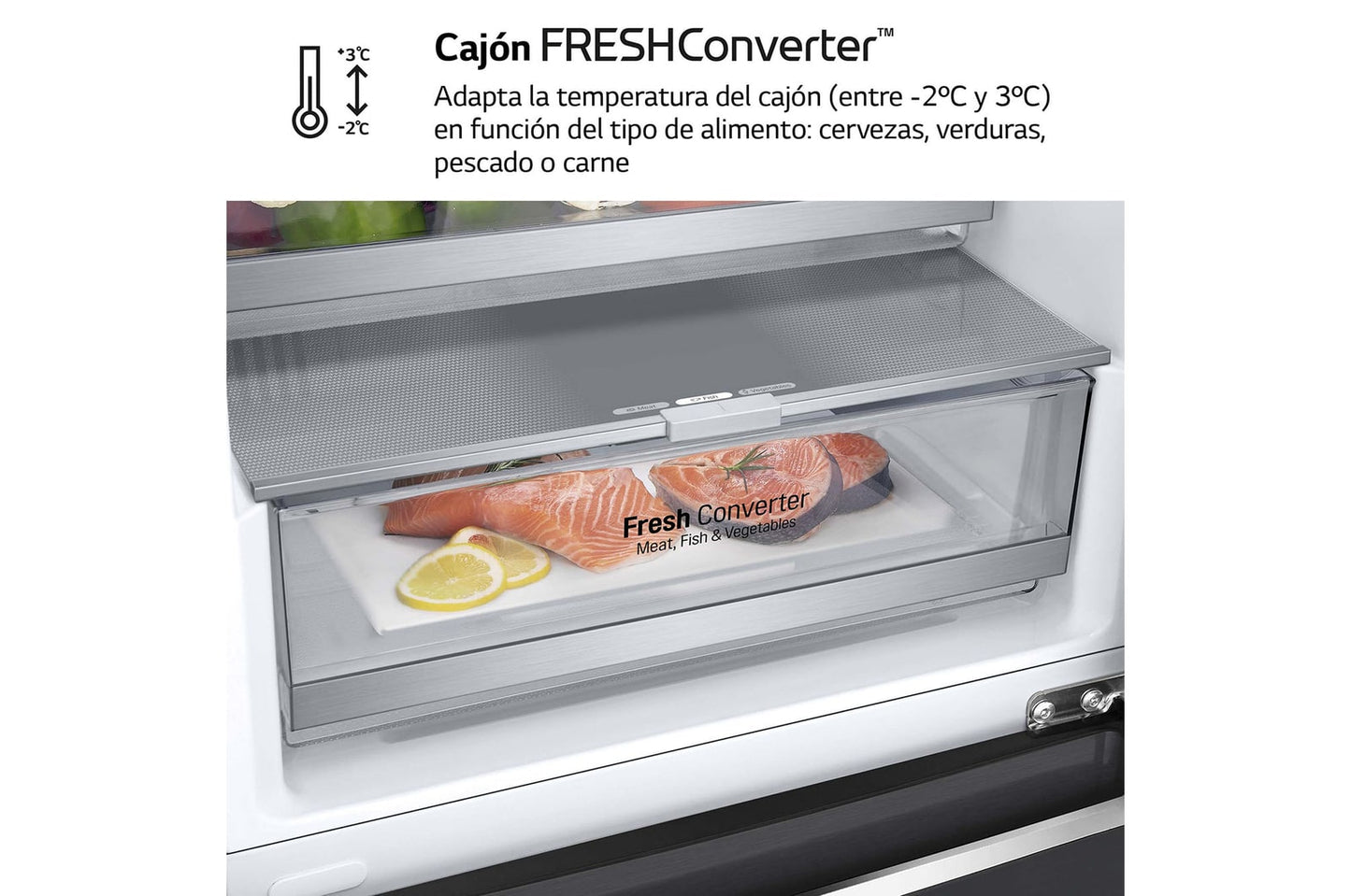 Frigorífico combi LG negro 203*60cm GBB92MCB2P OUTLET