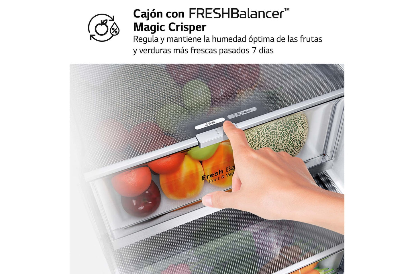 Frigorífico combi LG negro 203*60cm GBB92MCB2P OUTLET