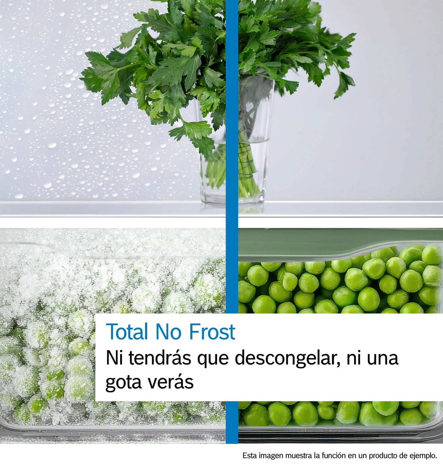 Frigorífico combi Bosch blanco 203*60cm (026332) OFERTA